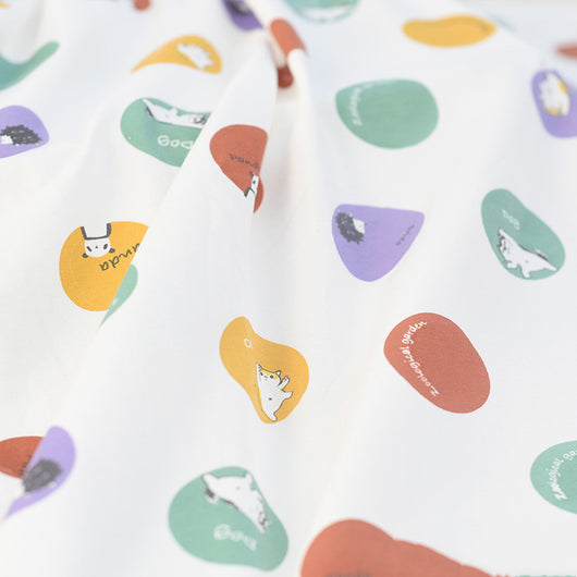 Ropa Interior Infantil de Algodón Peinado con Licra - Image 15