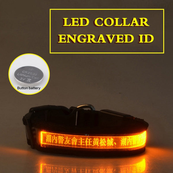 Collar Luminoso para Perros con Grabado Radium - Identificación Nocturna