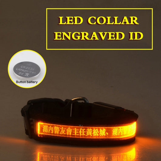 Collar Luminoso para Perros con Grabado Radium - Identificación Nocturna - Image 2