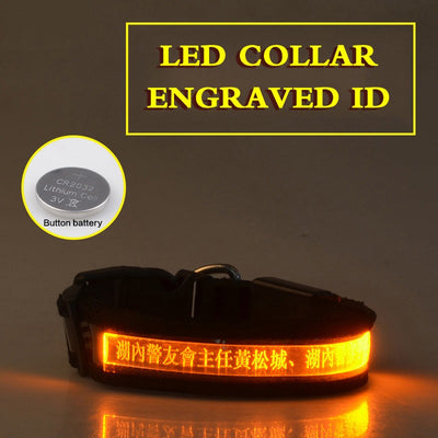 Collar Luminoso para Perros con Grabado Radium - Identificación Nocturna - Image 12