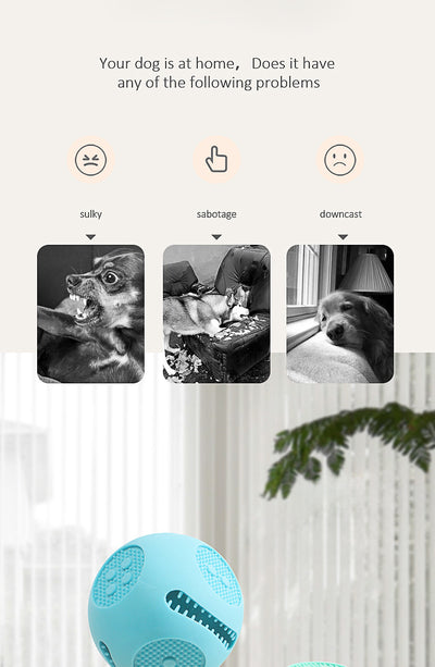 Pelota Interactiva para Perros y Gatos - Juguete Dispensador de Comida con Silicona Segura - Image 13