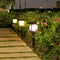 Luces Solares LED Impermeables para Jardín y Pasillos Exteriores