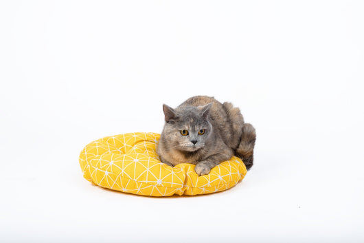 Cama Colgante Tejida para Gatos - Canasta Aérea Descanso - Image 5