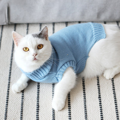 Suéter Gato Azul Británico para Otoño e Invierno - Image 8