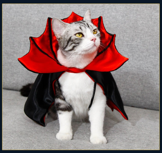 Capa de Halloween para Gatos - Disfraz Festivo Elegante - Image 10