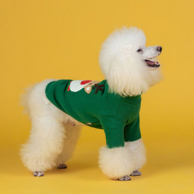 Ropa de Algodón para Cachorros Otoño e Invierno - Image 7