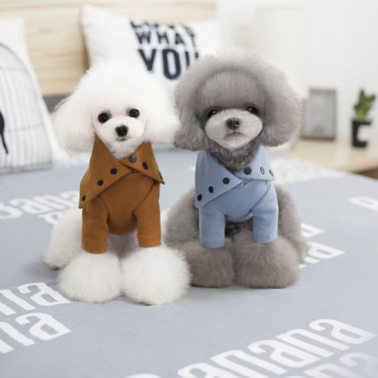 Ropa de Otoño e Invierno para Perros Pequeños - Image 9