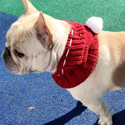 Gorro de Lana Divertido para Mascotas - Abrigo Cálido para Invierno - Image 15