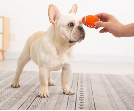 Pelota Interactiva Sonora para Perros - Juguete Resistente de Caucho - Image 27