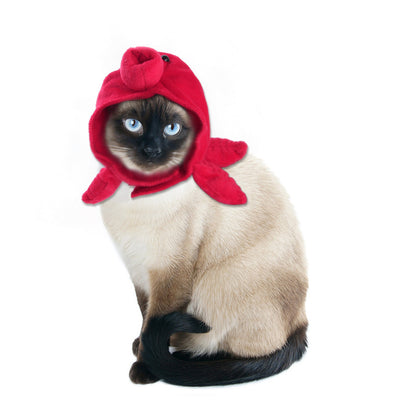 Gorro Rizado Divertido para Mascotas - Disfraz Cómico para Gatos y Perros - Image 26