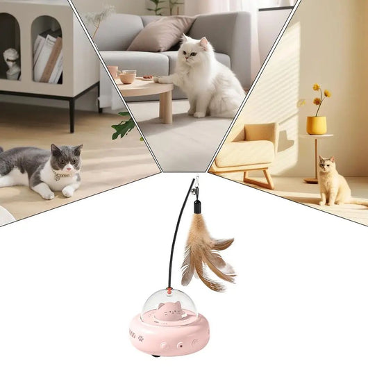 Electric interactive cat toy with a beige base, clear dome, and a cute cat head inside. Features a feather teaser wand with a bell. - Image 13