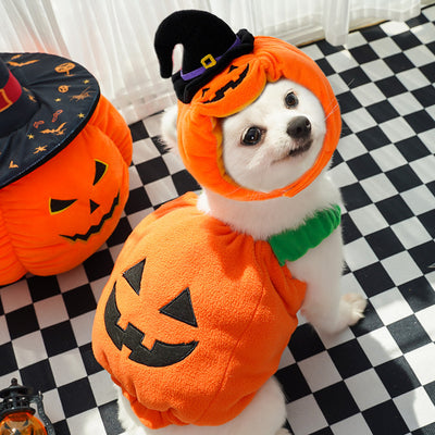 Disfraz de Calabaza para Perros y Gatos - Arnés Festivo para Mascotas Pequeñas - Image 4