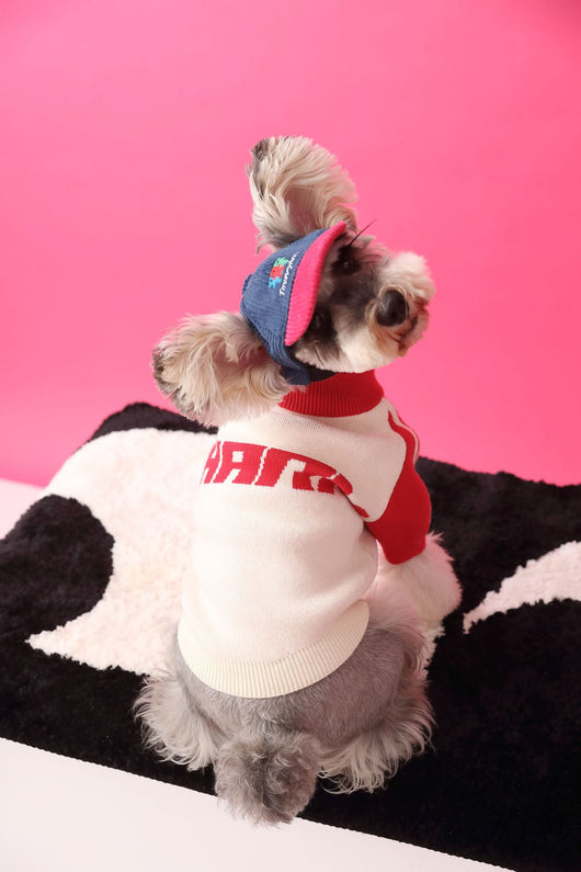 Suéter Deportivo para Perros - Cardigan Cómodo para Mascotas - Image 26