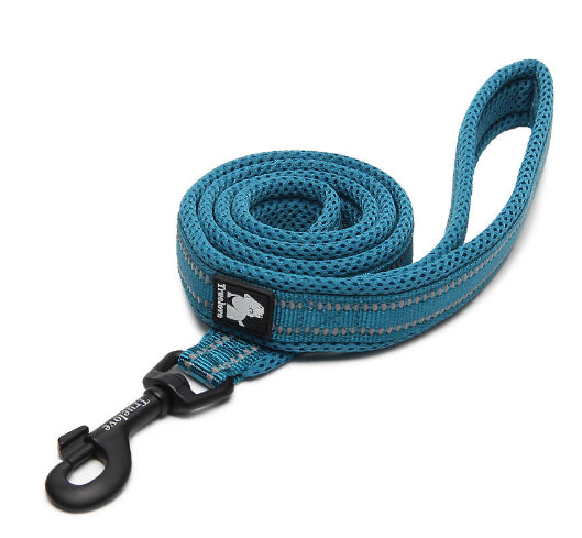 Correa de Seguridad para Perros con Sistema Anti-Pérdida - Image 15