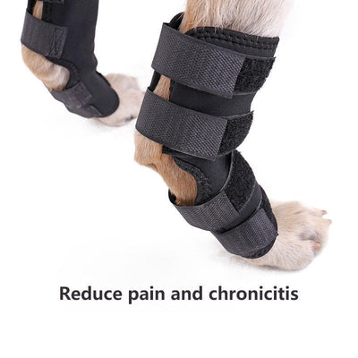 Protector de Rodilla para Mascotas - Recuperación Quirúrgica - Image 10