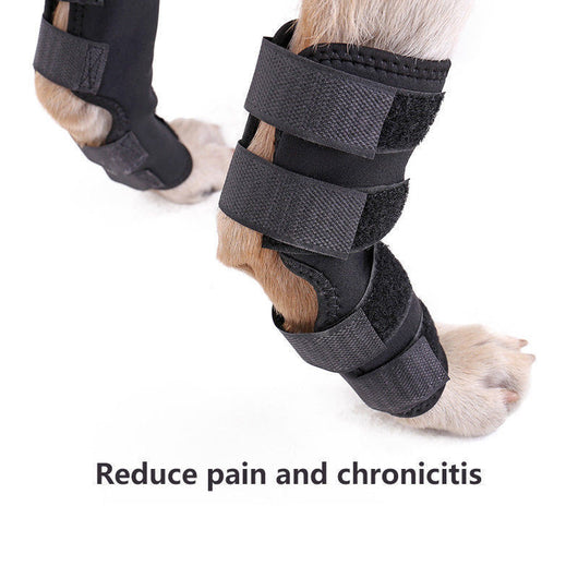 Protector de Rodilla para Mascotas - Recuperación Quirúrgica - Image 10
