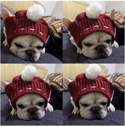 Gorro Divertido para Bulldog Francés y Pug - Image 15