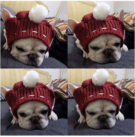Gorro Divertido para Bulldog Francés y Pug - Image 15