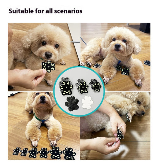 Protectores de Patas Invisibles Respirable para Perros - Almohadillas Adhesivas - Image 2