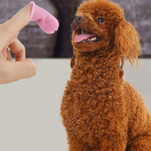 Cepillo de Dientes de Dedo 360° en Silicona para Mascotas - Limpieza Bucal Profunda