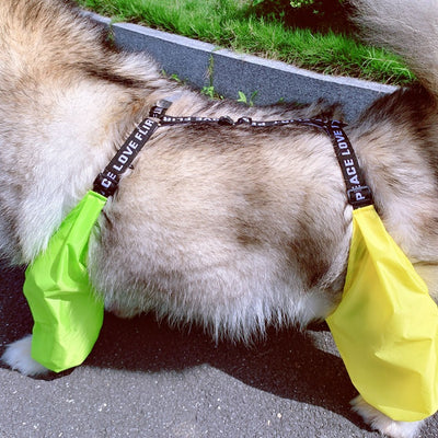 Impermeable Ajustable para Perros de Cuatro Patas - Image 4