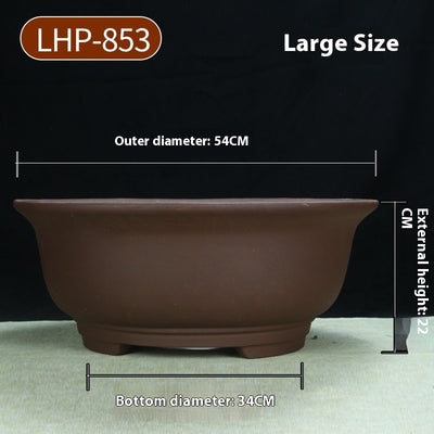 Maceta Cerámica Púrpura Grande 60cm para Árboles y Plantas Antiguas - Image 17