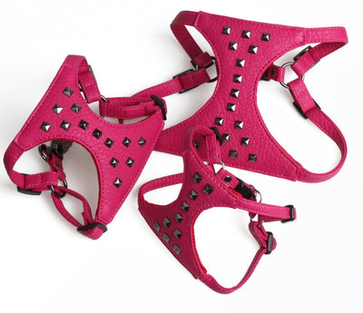 Correa de Cuero Ajustable para Perro con Tachuelas Estilo Premium - Image 3