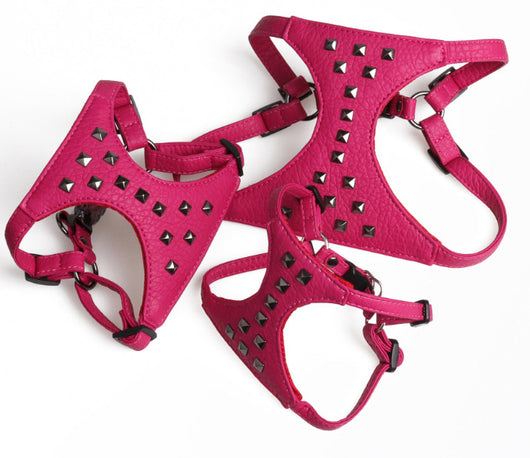 Correa de Cuero Ajustable para Perro con Tachuelas Estilo Premium - Image 3