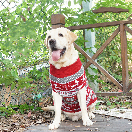 Suéter Cálido de Algodón para Perros - Abrigo Otoño e Invierno - Image 10