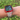 Correa Apple Watch - Placa Ciudades
