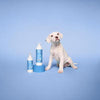 Shampoo Paul Mitchell Pet Nourishing Awapuhi para Cães, Gatos e Pequenos Animais, 500 ml