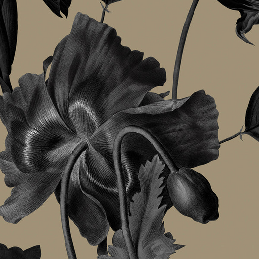 PRE ORDEN Cachetero Camel