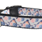 Blue Bird Nylon Dog Collar