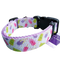 Popsicles Lavender Nylon Dog Collar MD, LG, XL, Leash