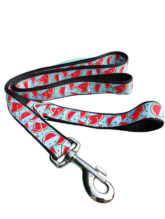Watermelon Slices Nylon Dog Collar