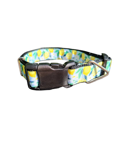 Coleira de Nylon para Cachorro Limão e Flores