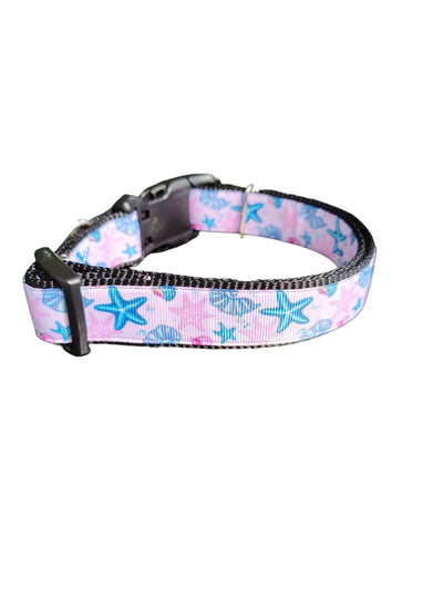 Starfish and Snails Nylon Dog Collar