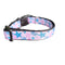 Starfish and Snails Nylon Dog Collar