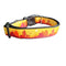 Desert Landscape Nylon Dog Collar