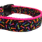 Neon Bones Nylon Dog Collar MD, LG, XL, Leash