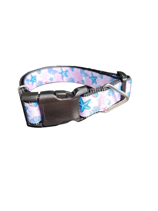 Starfish and Snails Nylon Dog Collar