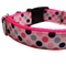 Polka Dots Pattern Nylon Dog Collar