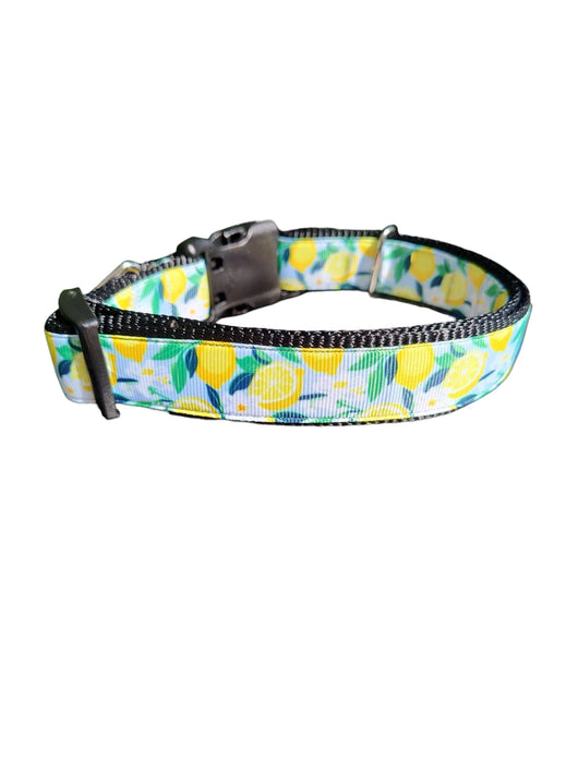 Coleira de Nylon para Cachorro Limão e Flores