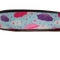 Raining Umbrellas Nylon Dog Collar