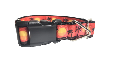 Beach Sunsets Nylon Dog Collar