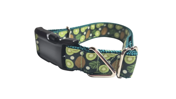 Kiwi Fruit Nylon Dog Collar
