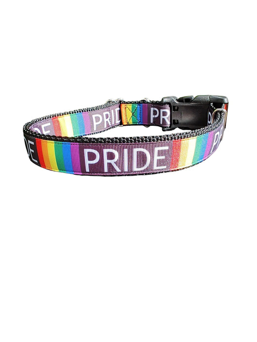 Coleira de Nylon para Cachorros Pride Arco-Íris