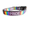 Coleira de Nylon para Cachorros Pride Arco-Íris