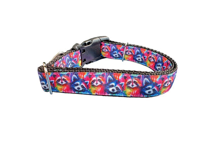 Coleira para Cães em Nylon com Estampa de Guaxinins Trash Panda