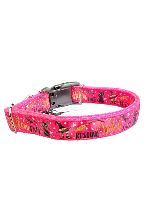 Resting Witch Face Nylon Dog Collar